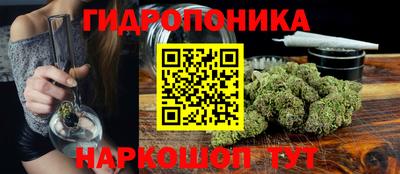 бошки Тара