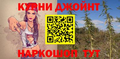 apvp Тулун