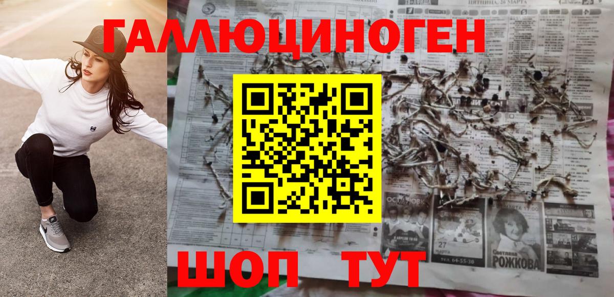 Галлюциногенные грибы прущие грибы  Галлюциногенные грибы GOLDEN TEACHER  Мценск  Вход с VPN 